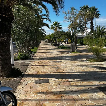 Brisol Vacation * San Benedetto del Tronto